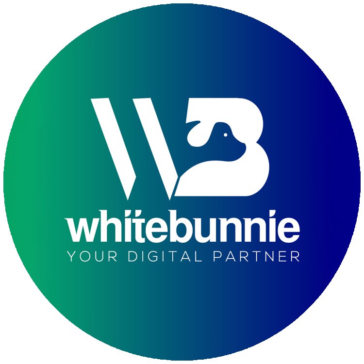 Local SEO Company Delhi - White Bunnie