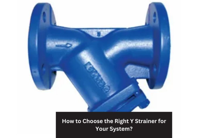 How to Choose the Right Y Strainer for Your System?