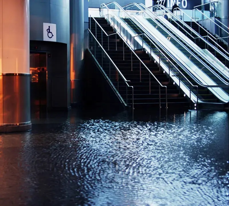 How Can You Prevent Water Damage in Brampton Homes?